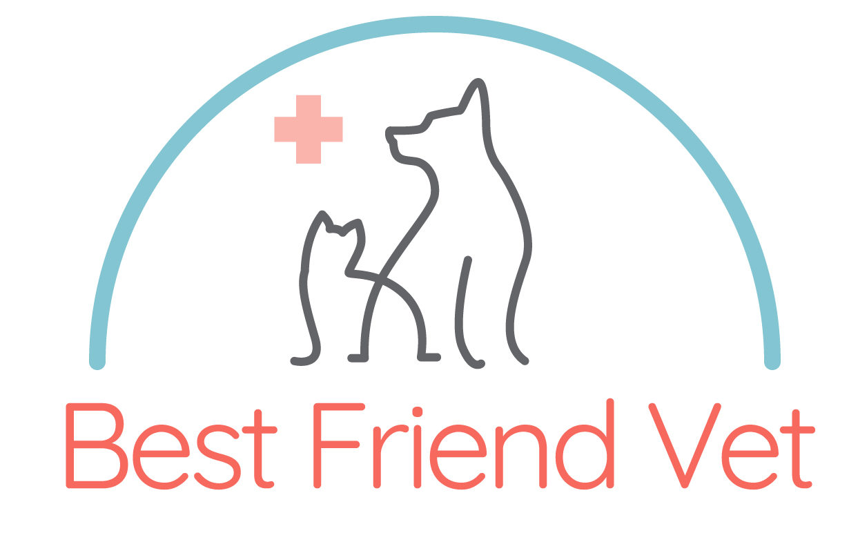 best friend vet