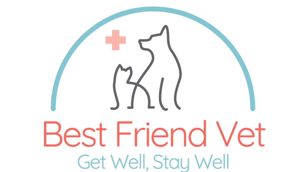 Vet Near Me Westtown, PA | Best Friend Veterinary Center